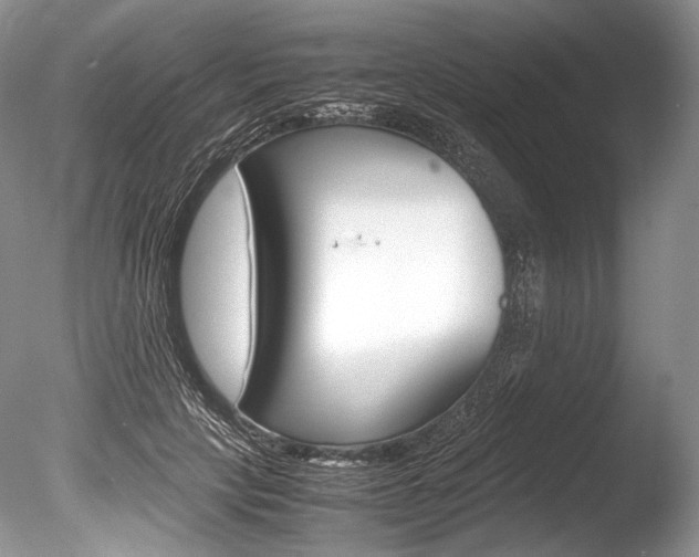 X0000086310649200703300957