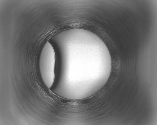 X0000086310652200703300957