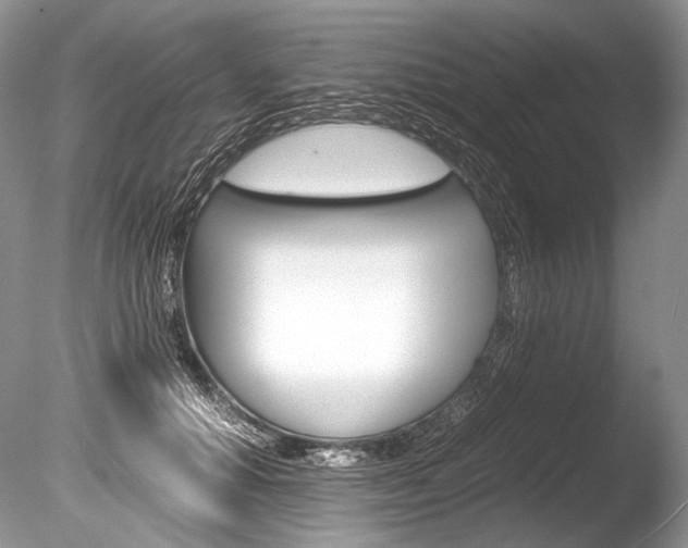X0000086310654200703300957