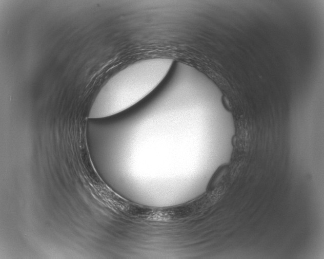 X0000086310656200703300957