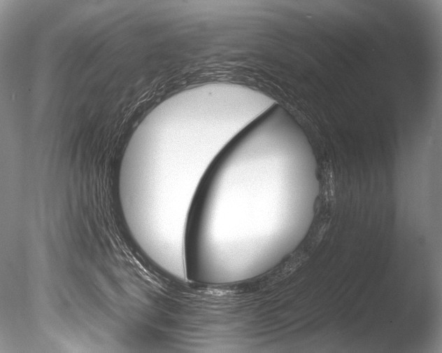 X0000086310664200703300957