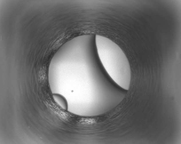X0000086310665200703300957