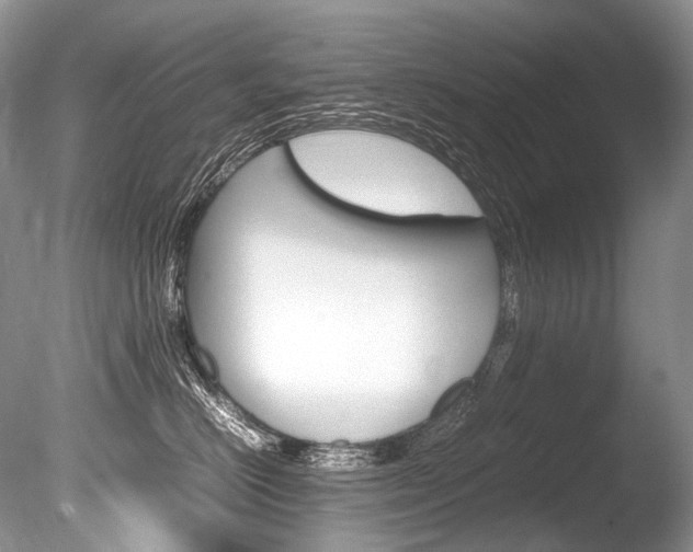 X0000086310670200703300958
