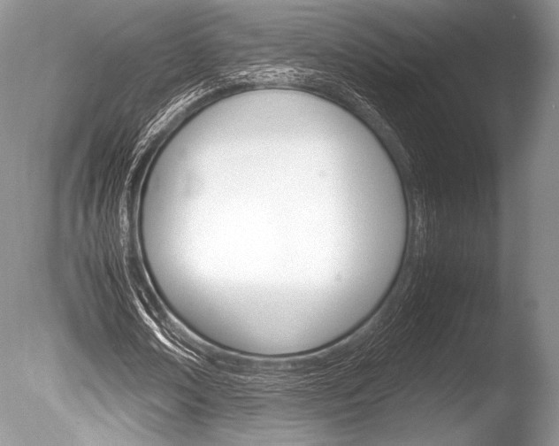 X0000086310674200703300957