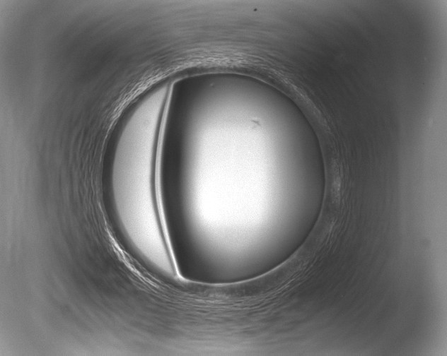 X0000086310677200703300957