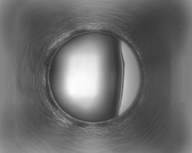X0000086310681200703300957