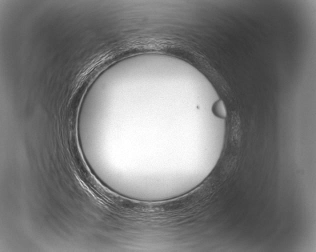 X0000086310683200703300957