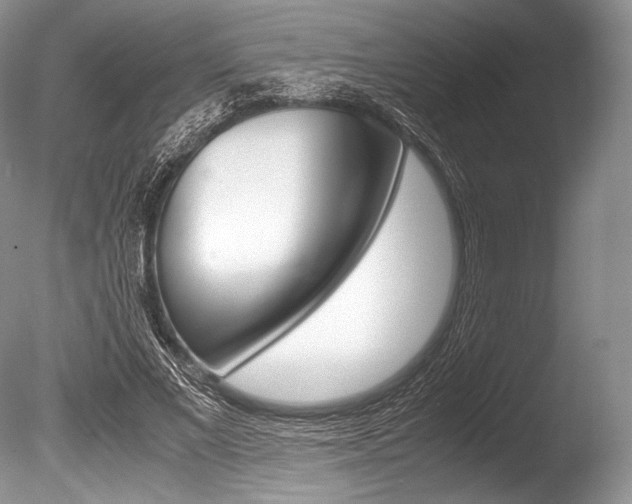 X0000086310685200703300957