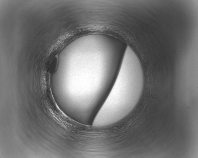 X0000086310688200703300957