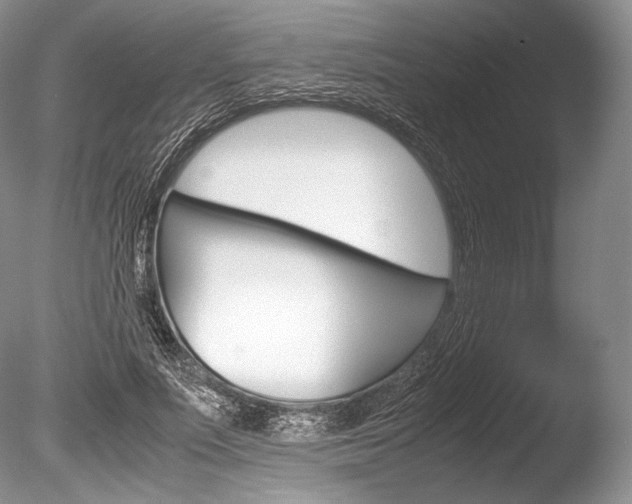 X0000086310691200703300956