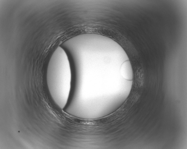 X0000086310698200703300956