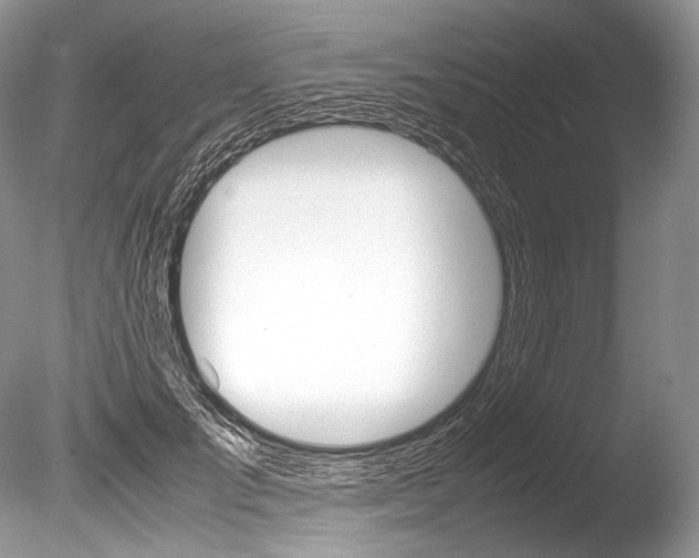 X0000086310701200703300956
