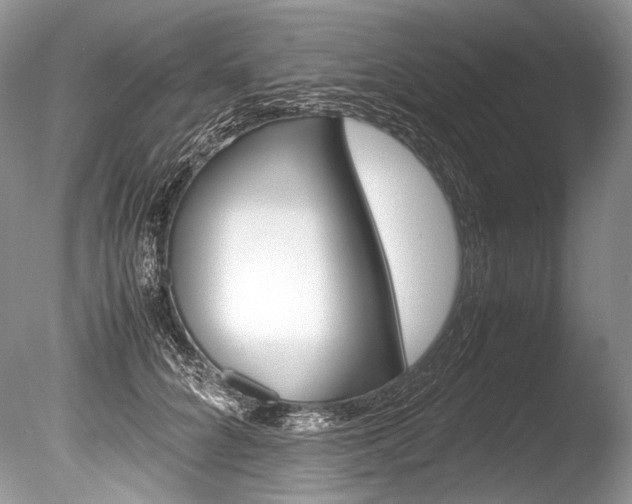 X0000086310704200703300956