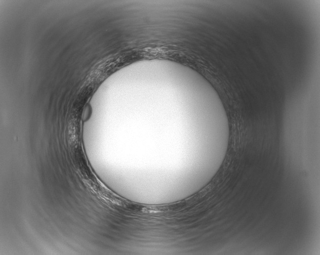 X0000086310706200703300956