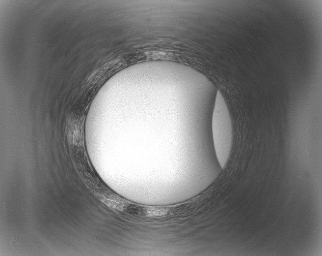 X0000086310709200703300956