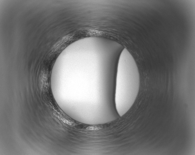 X0000086310714200703300956