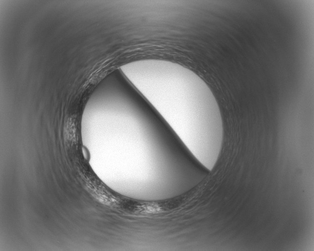 X0000086310715200703300956