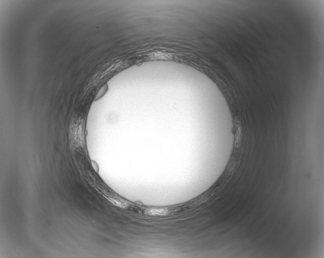 X0000086310717200703300956