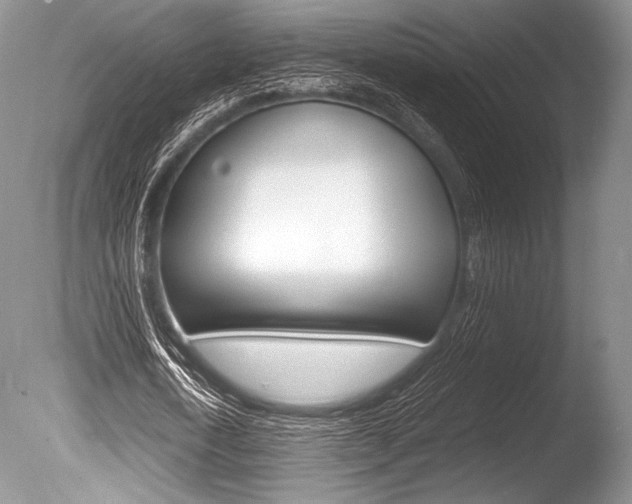 X0000086310722200703300955