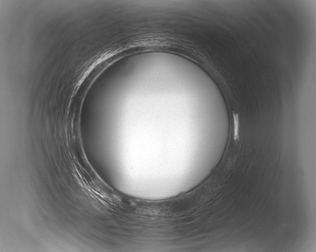 X0000086310723200703300955