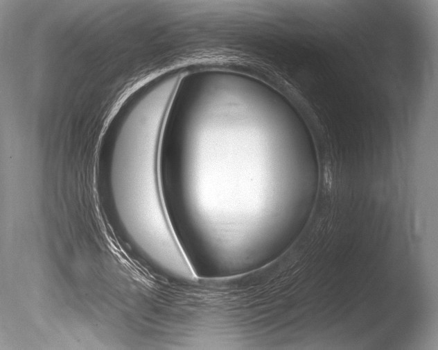 X0000086310724200703300955