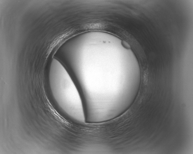X0000086310725200703300955