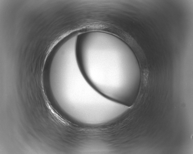 X0000086310726200703300955
