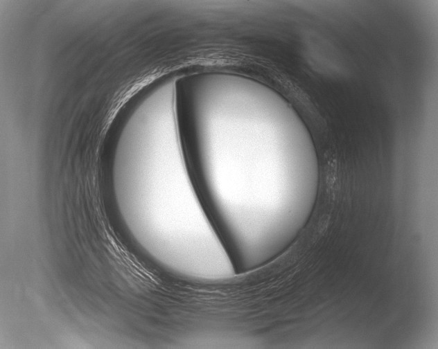 X0000086310727200703300955