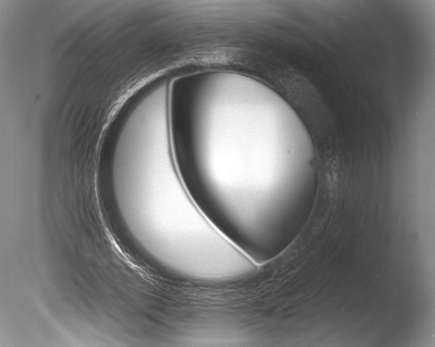 X0000086310728200703300955