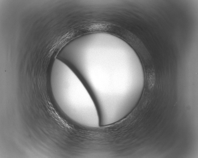 X0000086310729200703300955