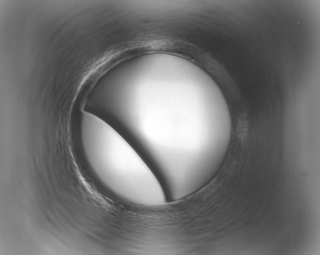 X0000086310730200703300955