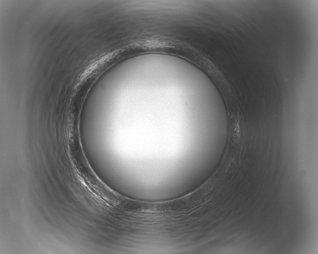 X0000086310732200703300955