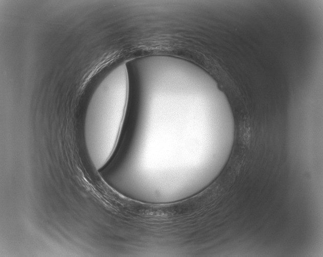 X0000086310735200703300955