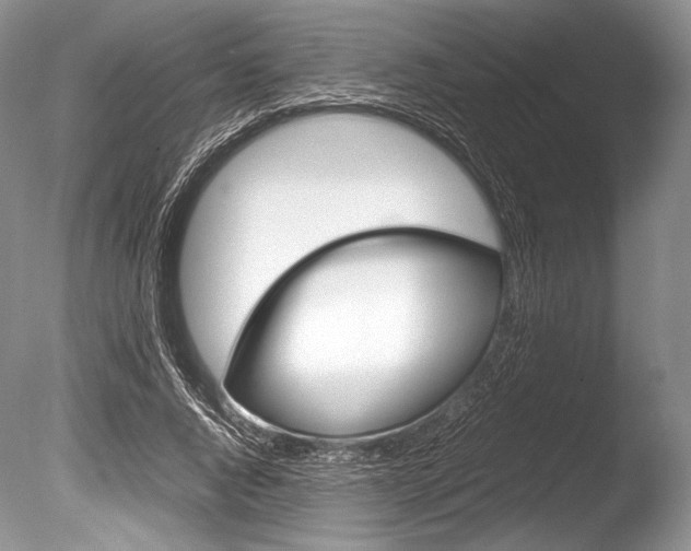 X0000086310736200703300955