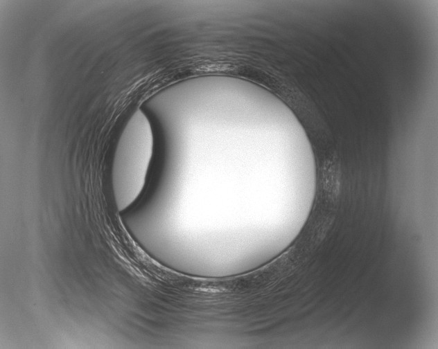 X0000086310741200703300956