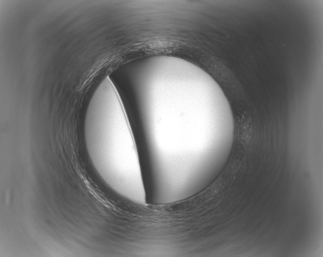 X0000086310742200703300956
