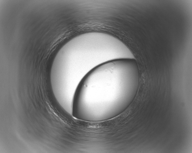 X0000086310744200703300956