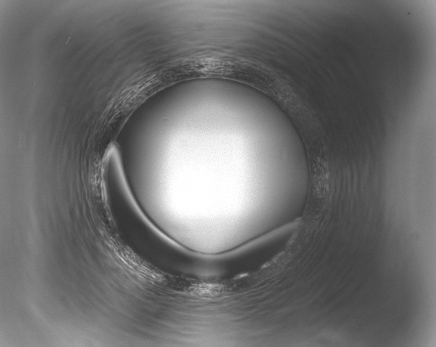 X0000086310748200703300956