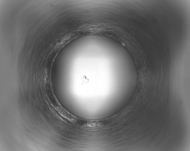 X0000086310752200703300956