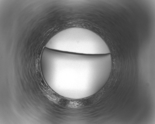 X0000086310753200703300956