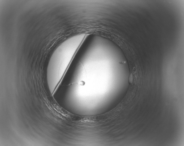X0000086310756200703300956