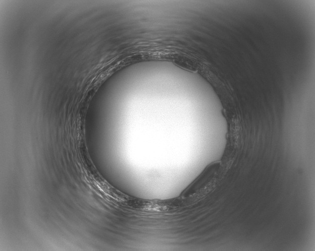 X0000086310760200703300956
