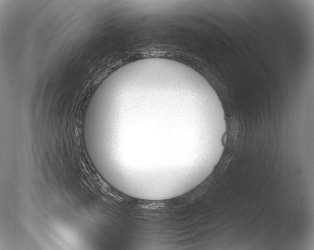 X0000086310761200703300956