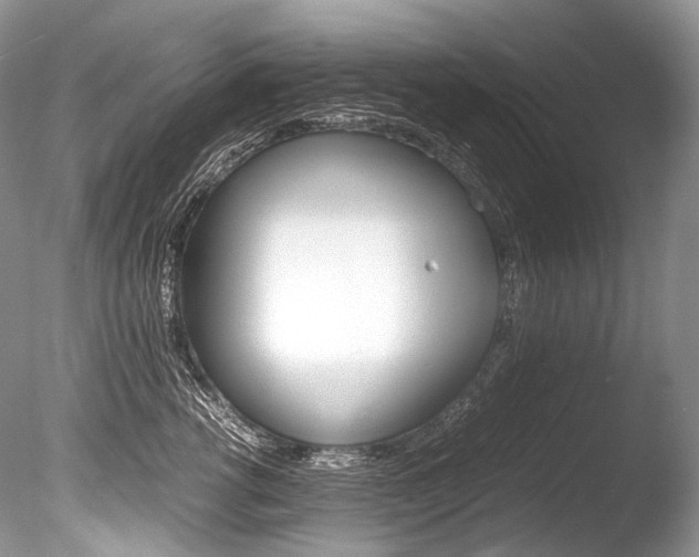 X0000086310762200703300956