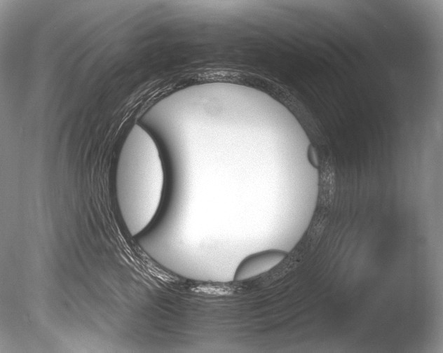 X0000086310765200703300956