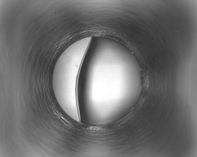 X0000086310766200703300956