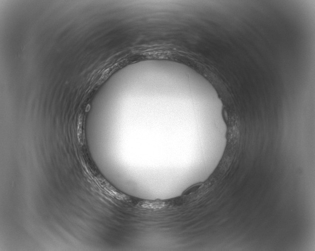 X0000086310767200703300956