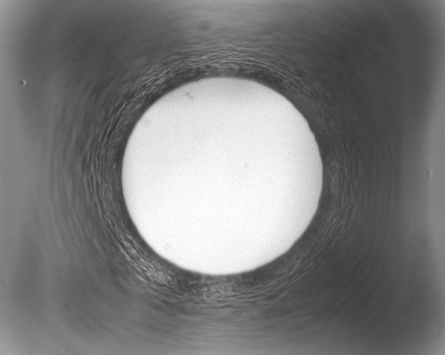 X0000086310769200703300955