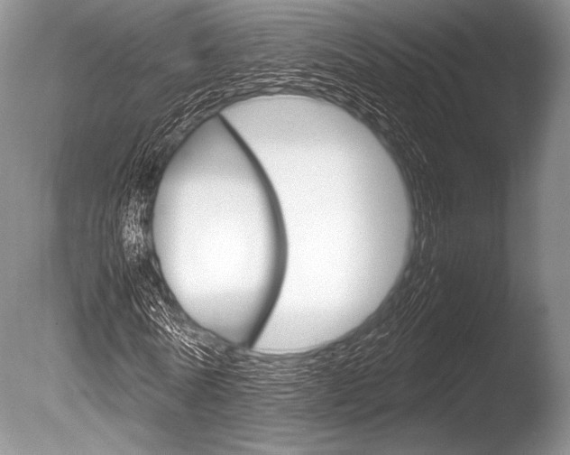 X0000086310770200703300955