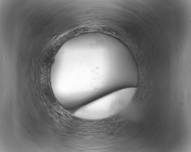 X0000086310773200703300955